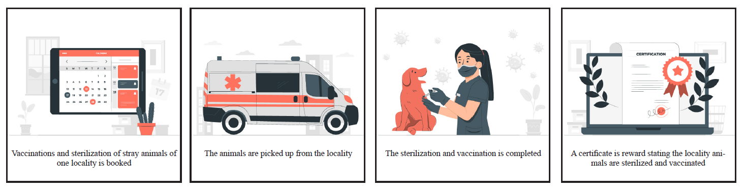 Storyboard — Sterilization & Vaccination